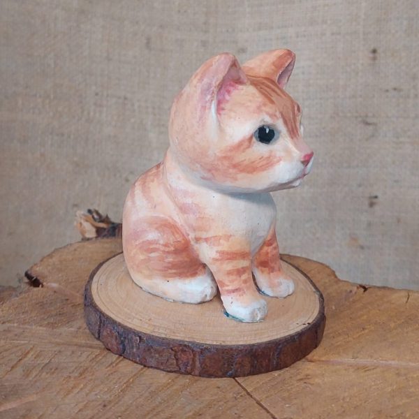 Cat Pet Portrait